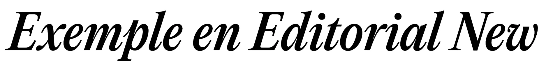 Exemple en Editorial New